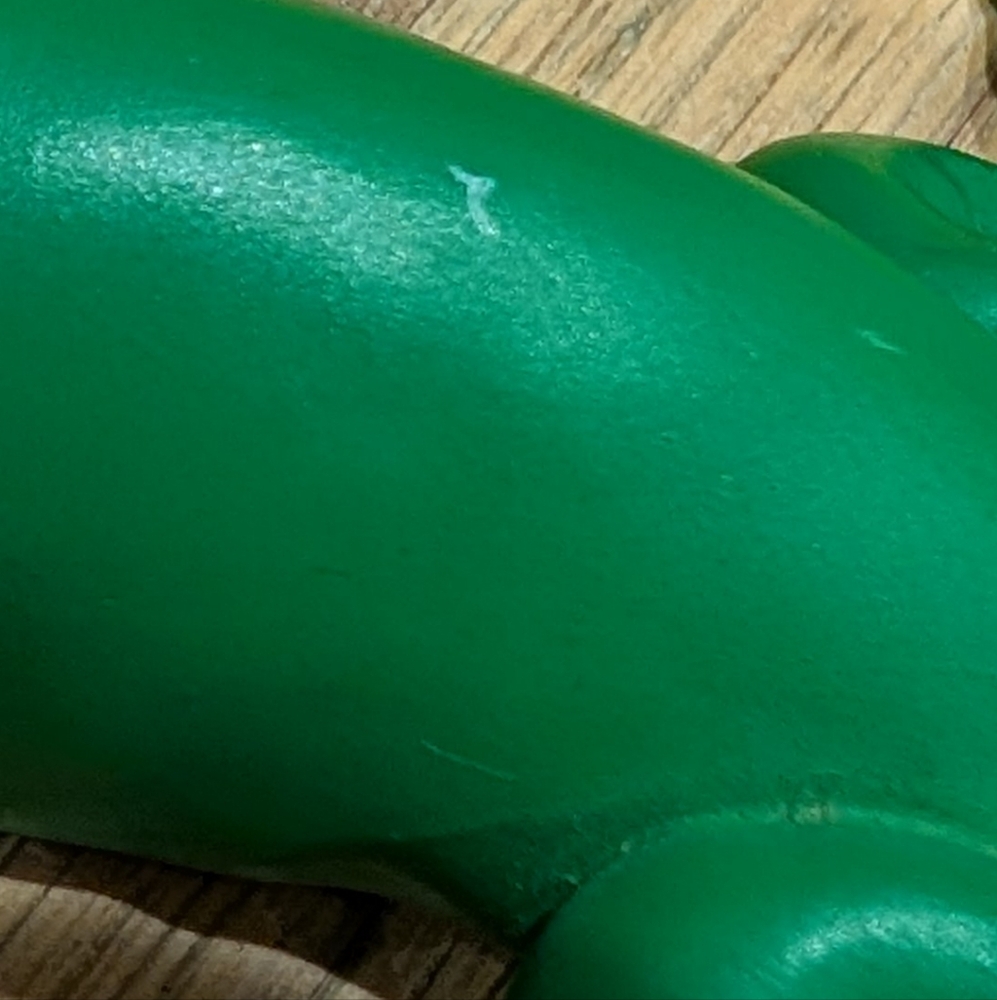 Home Grown Enesco Pepper Lizard Figurine 2009 Bearded Animal Vegetable Chili - Picture 12 of 12